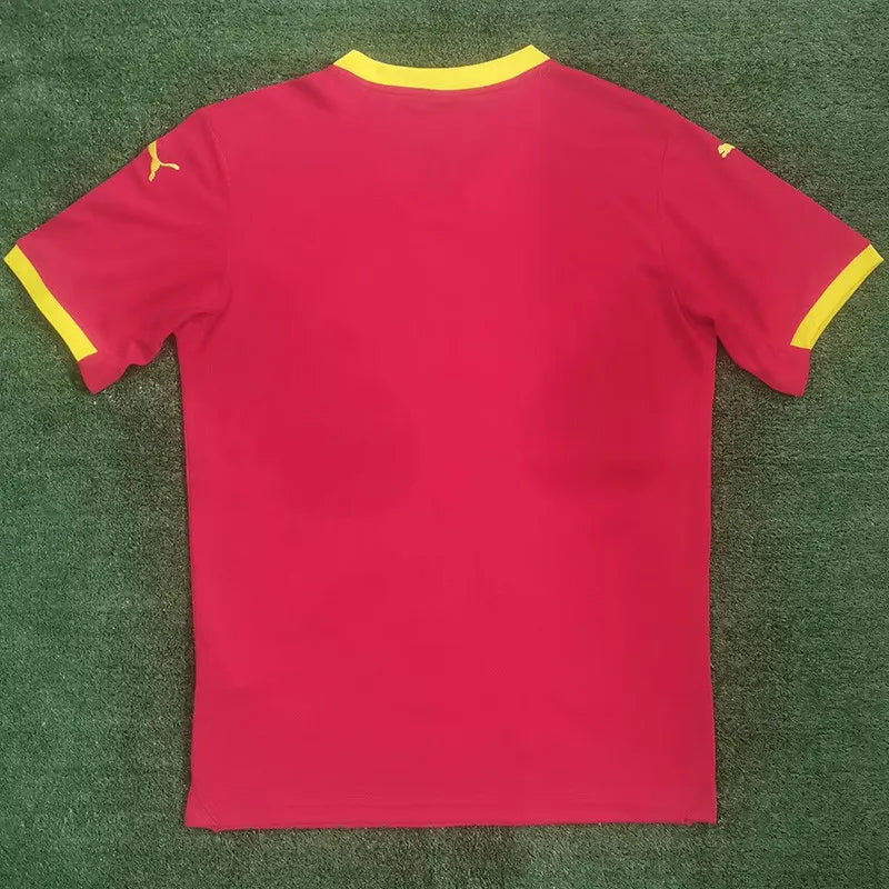 Guinea Home 2024 Jersey