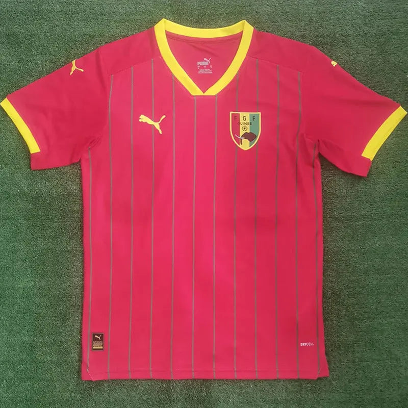 Guinea Home 2024 Jersey