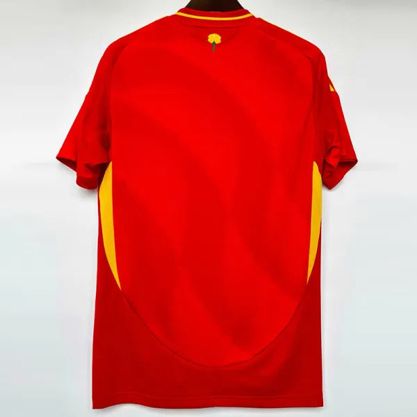 Spain Home 24-25 Jersey